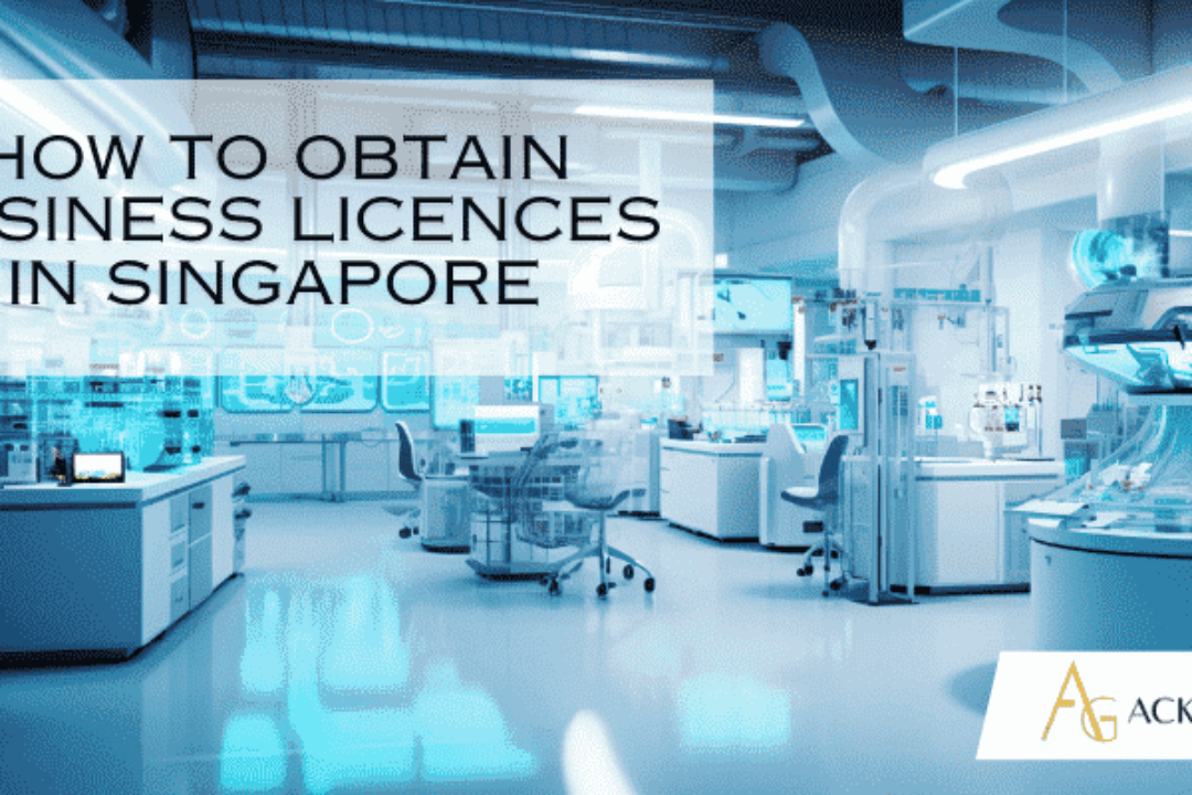 How To Obtain Special Permits and Licenses in Singapore