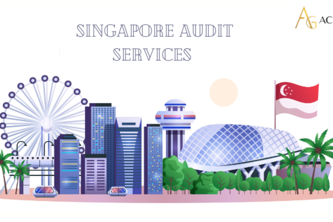 Role of Auditors in Singapore