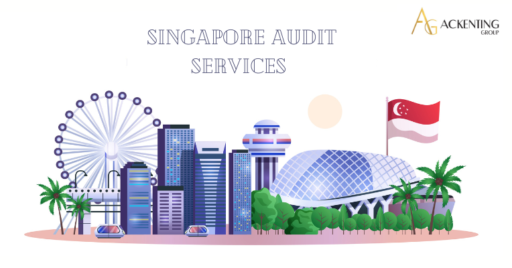 Role of Auditors in Singapore