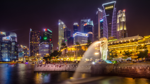 Singapore Branch vs Subsidiary vs Representative Office: Which is Best?