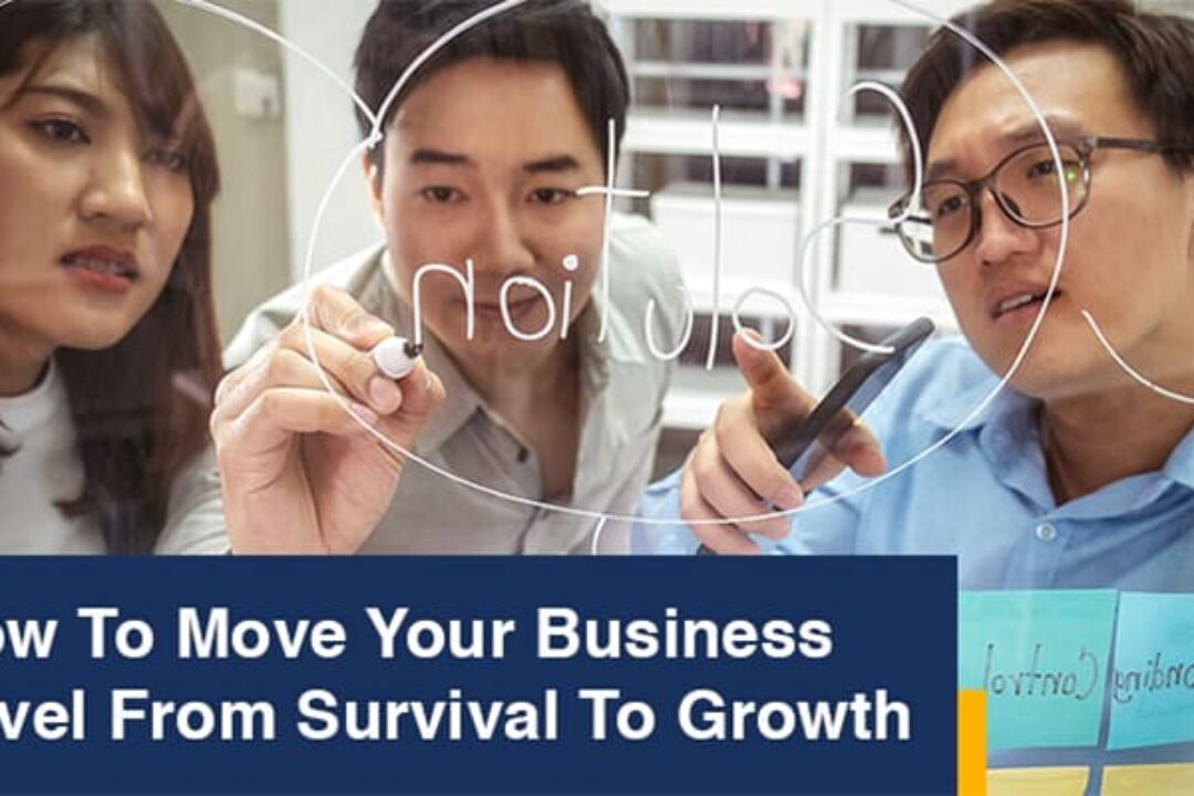 How To Move Your Business Level From Survival To Growth