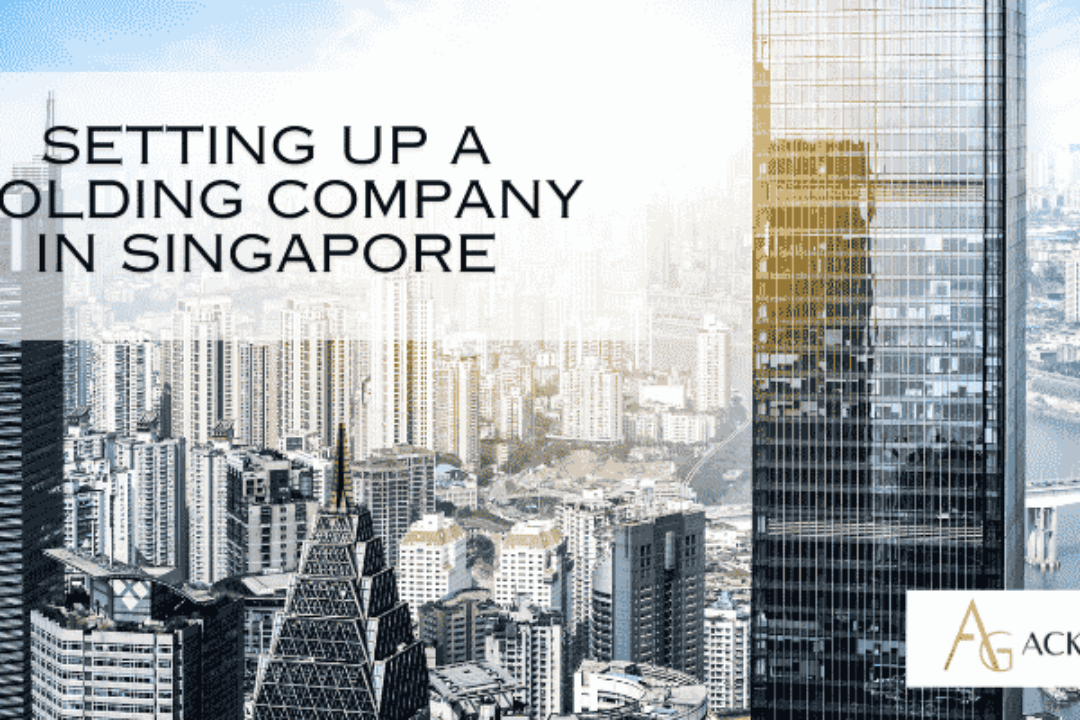 Setting Up a Holding Company in Singapore
