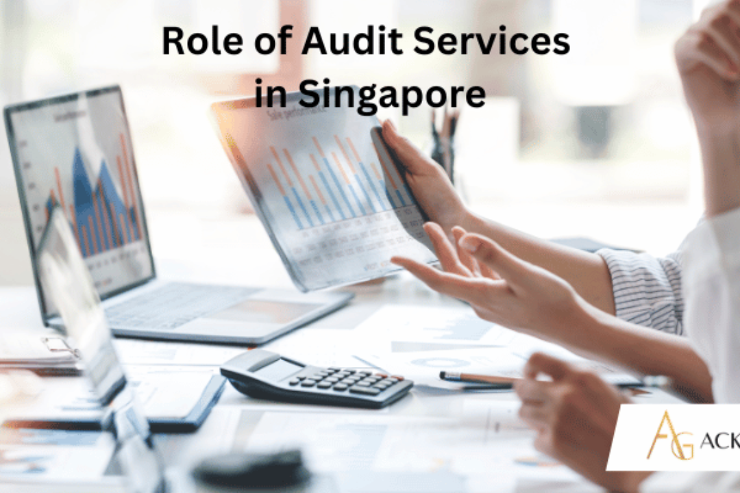 Audit Framework in Singapore