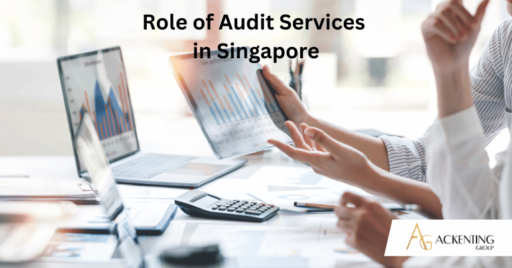 Audit Framework in Singapore
